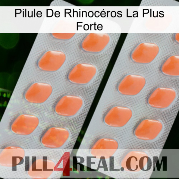 Pilule De Rhinocéros La Plus Forte 27
